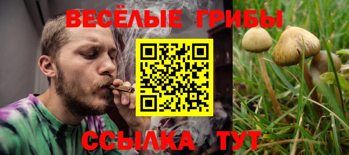 Галлюциногенные грибы Cubensis  Псилоцибиновые грибы Magic Shrooms  Вход с VPN  Мурино 
